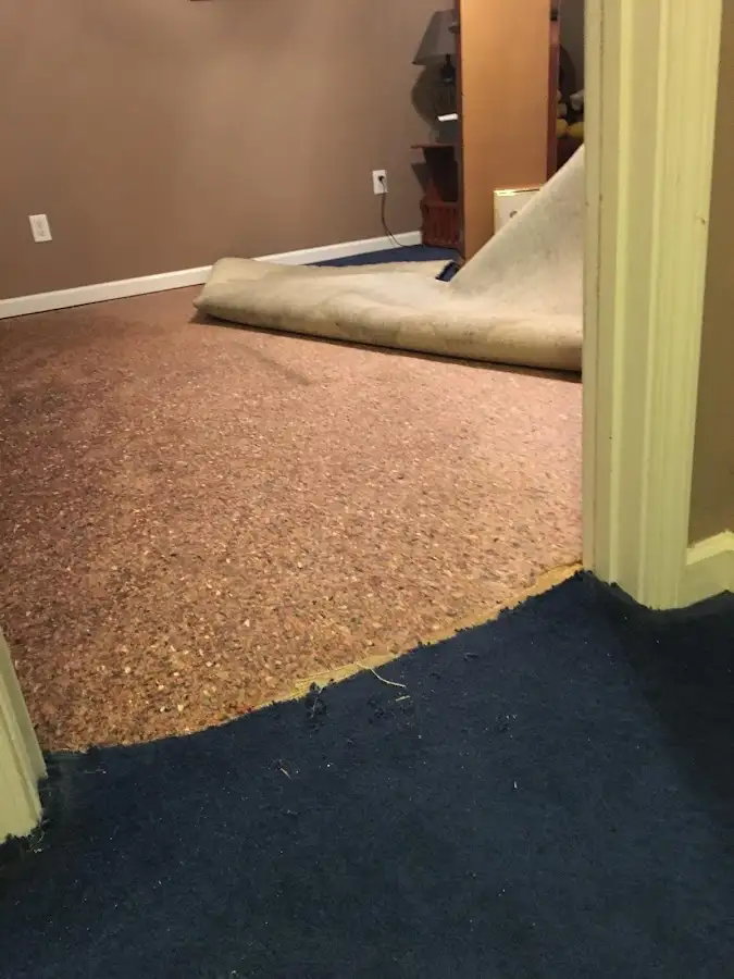 Carpet pad removal revealing water damage during Water Mitigation Services in Sheboygan