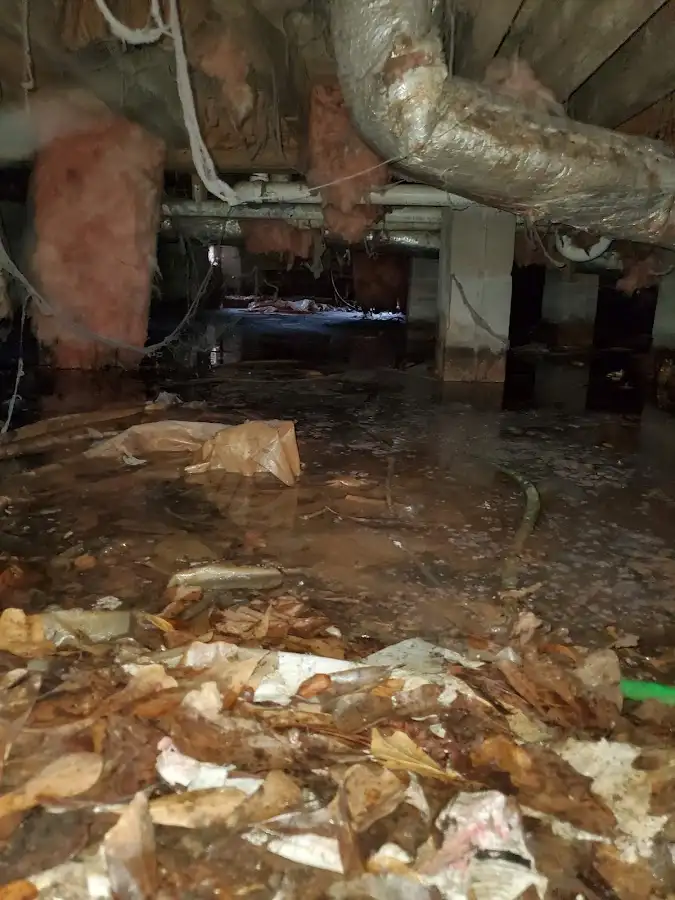 Crawl space flood assessment for Leak Detection & Repair in Sheboygan